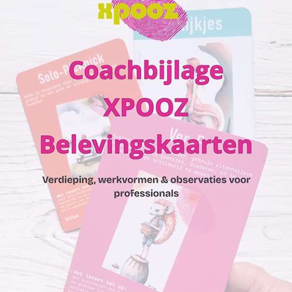 Basis Coachpakket